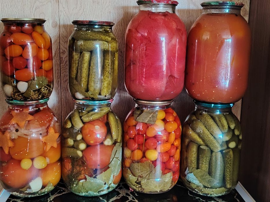 Солонина 2025 год