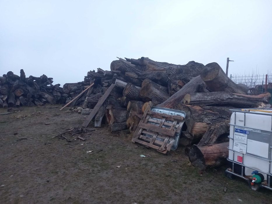 Lemne de foc fag carpen stejar