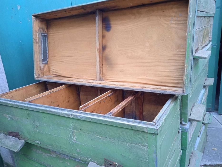 Vand lazi pentru trei familii de albine