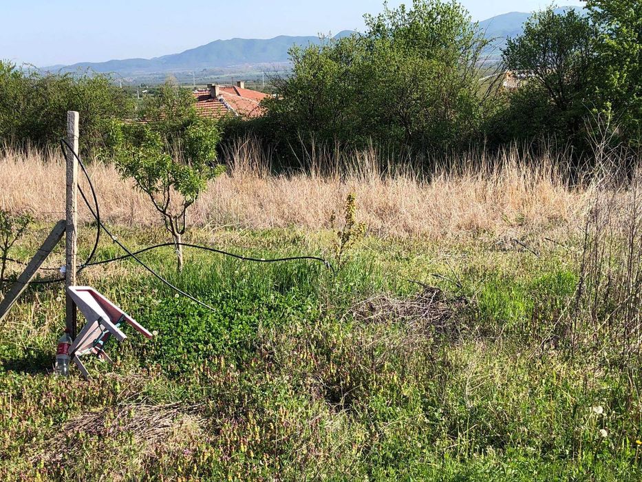 Продава се Парцел в с. Анево, Област Пловдив - 4000 кв.м за 4 €/кв.м - Снимка #4