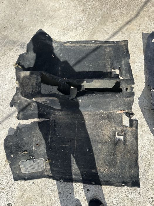 Пассат Делфин Кавролон