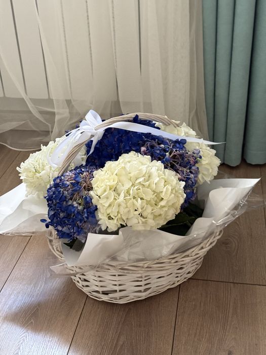 Продам цветы гартензии