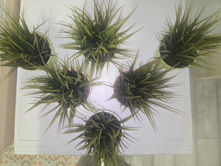 6 бр изкуствени растения