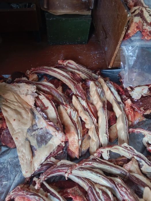 Продам мясо конина