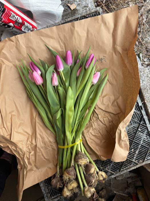 Букет тюльпаны королевские