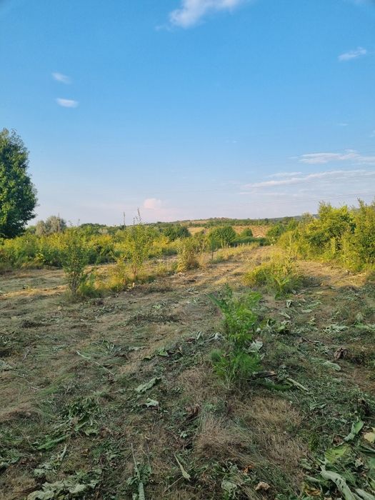 Teren intravilan 4.000 mp in sat Curaturi