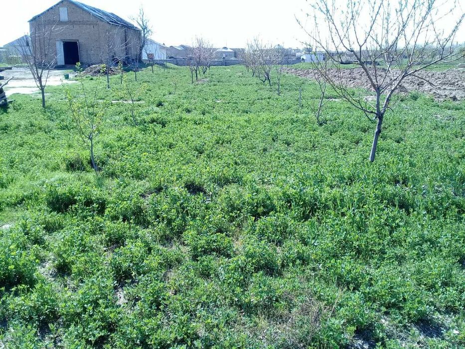 Жой сотилади, бу́линадиган. Нархи келишилади.