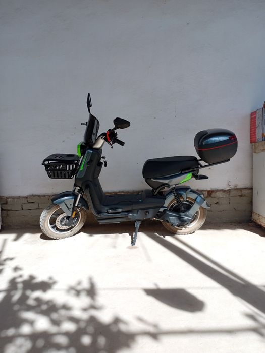 Хамма йери радной