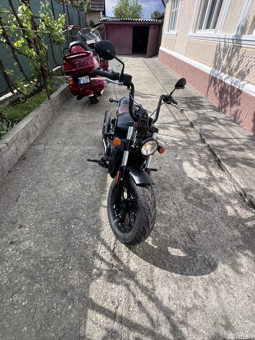 Indian scoot bober