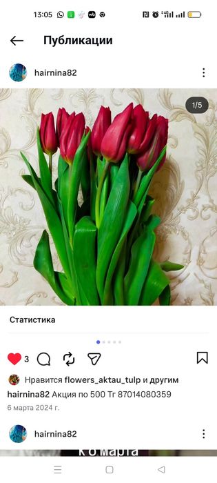 Тюльпаны большой выбор 550