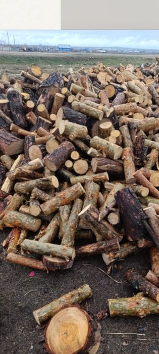 Продам дрова, сухие