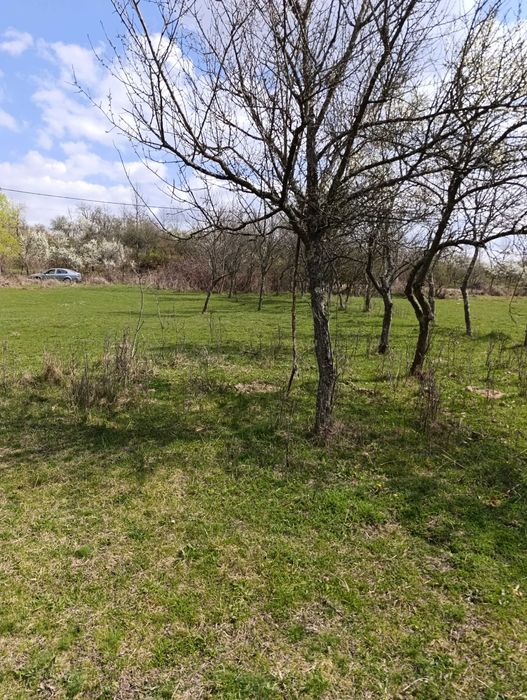 Teren de închiriat în  localitatea Tapia