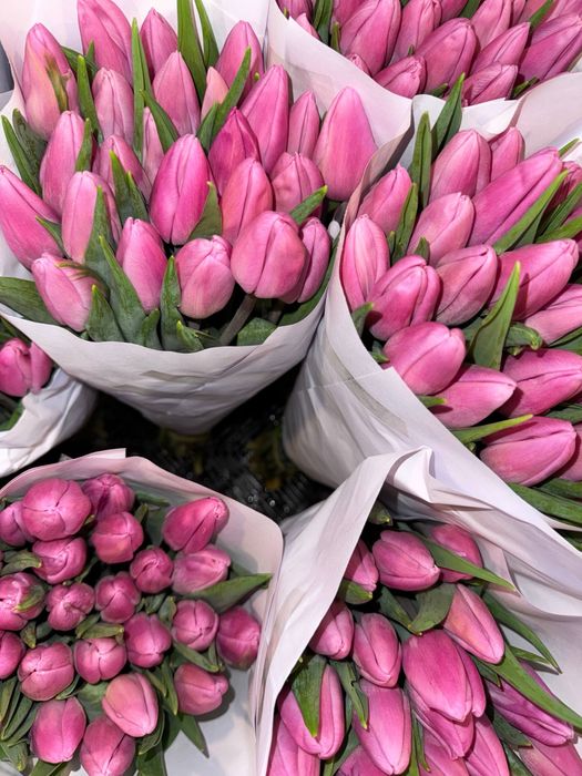 Тюльпаны оптом в розницу/ корпоративные заказы