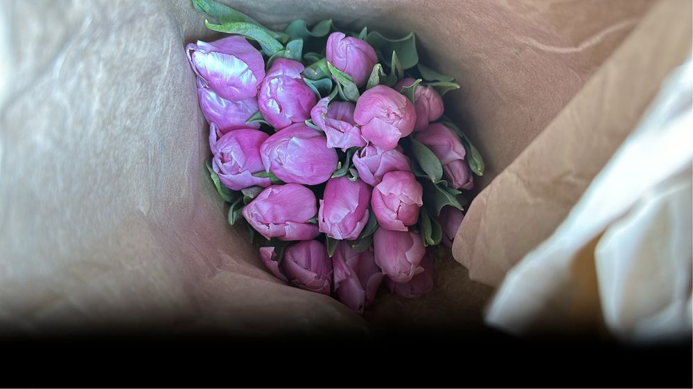 Тюльпаны оптом по брони