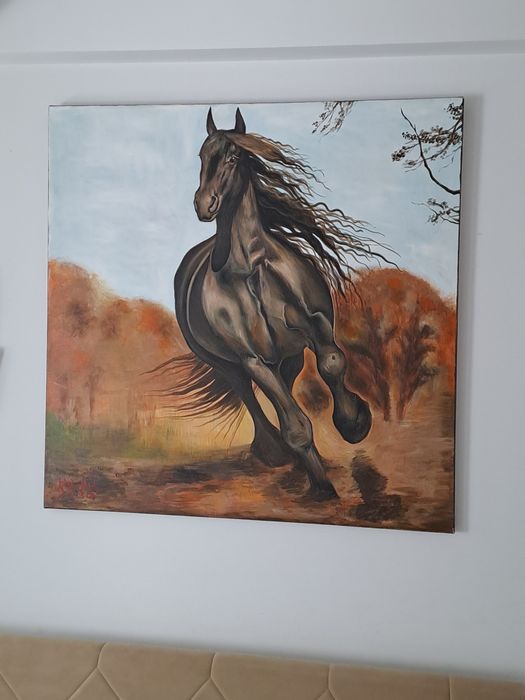 Tablouri pictor profesionist