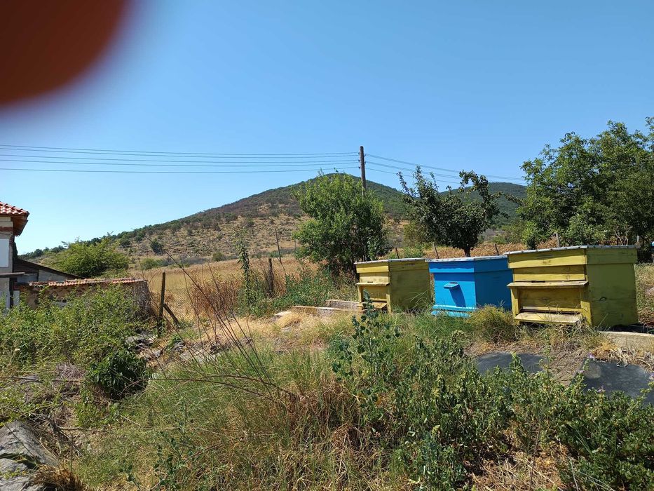 Центрофуга за мед