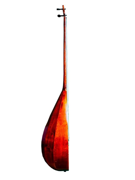 Домбра берёза 48