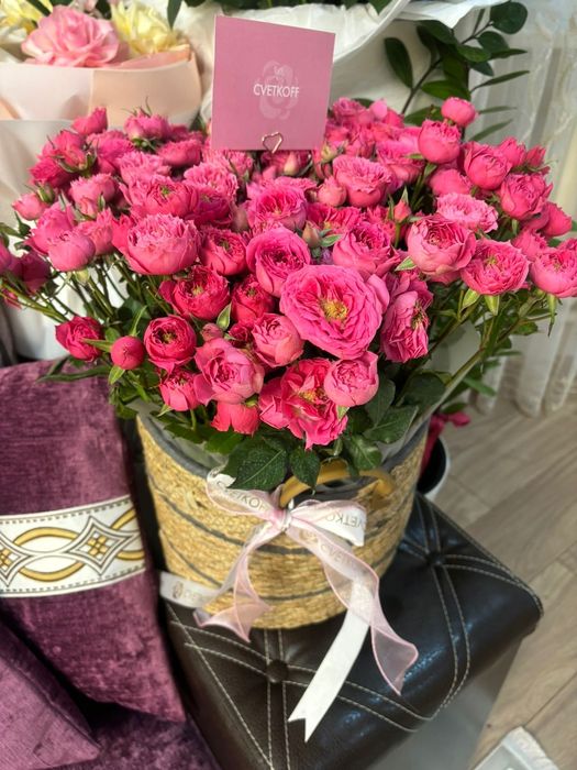 Цветы продам по выгодной цене