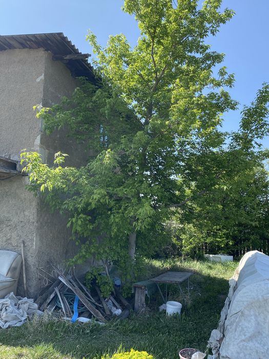 Продам дачу. Общество ,,Ромашка,, В Сортировке