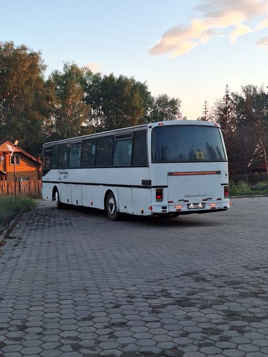 Автобусы на заказ!!!