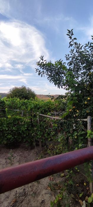 Продава се Къща в с. Костанденец, Област Разград - 61 кв.м за 167 €/кв.м - Снимка #2