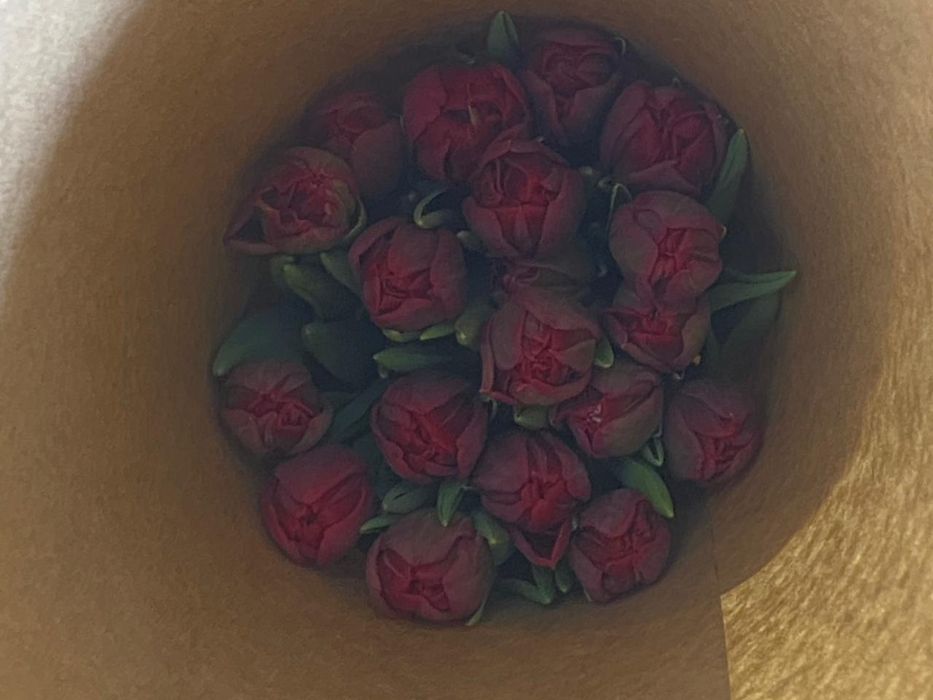 Продам тюльпаны оптом