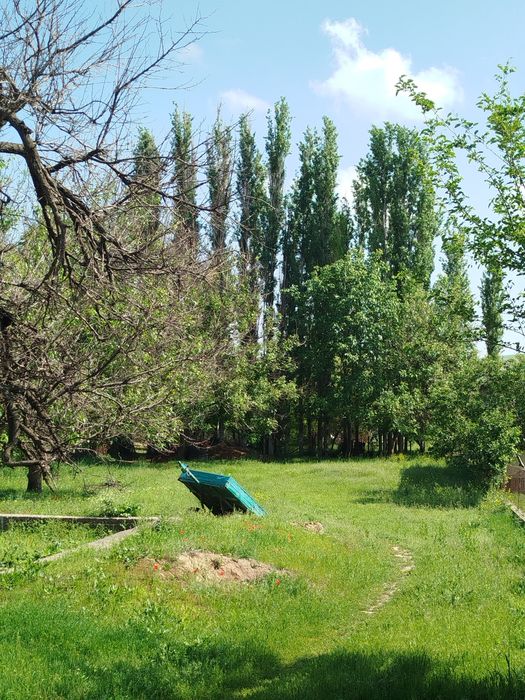 Теректер  сатылады.