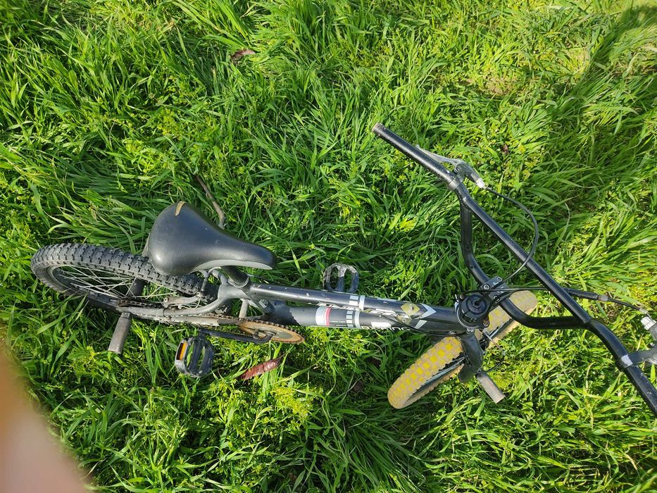 BMX Model: BX X-King