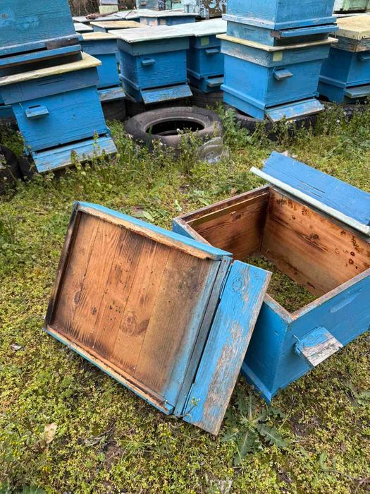 Кошери 10 рамкови Дадан блат/втора ръка-запазени/