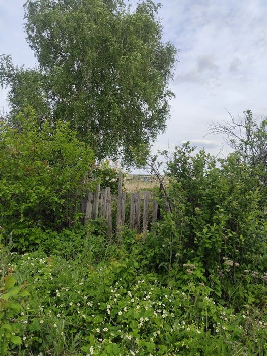 Продам срочно Дачу 17 маршрут 6 общество