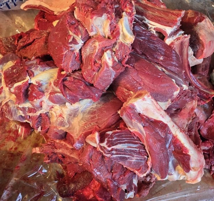 Продам мясо Конины