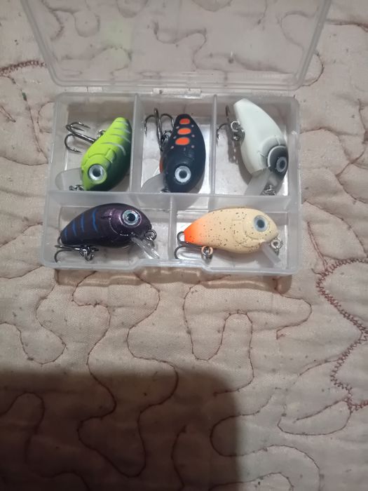 Set de naluci pentru biban si clean