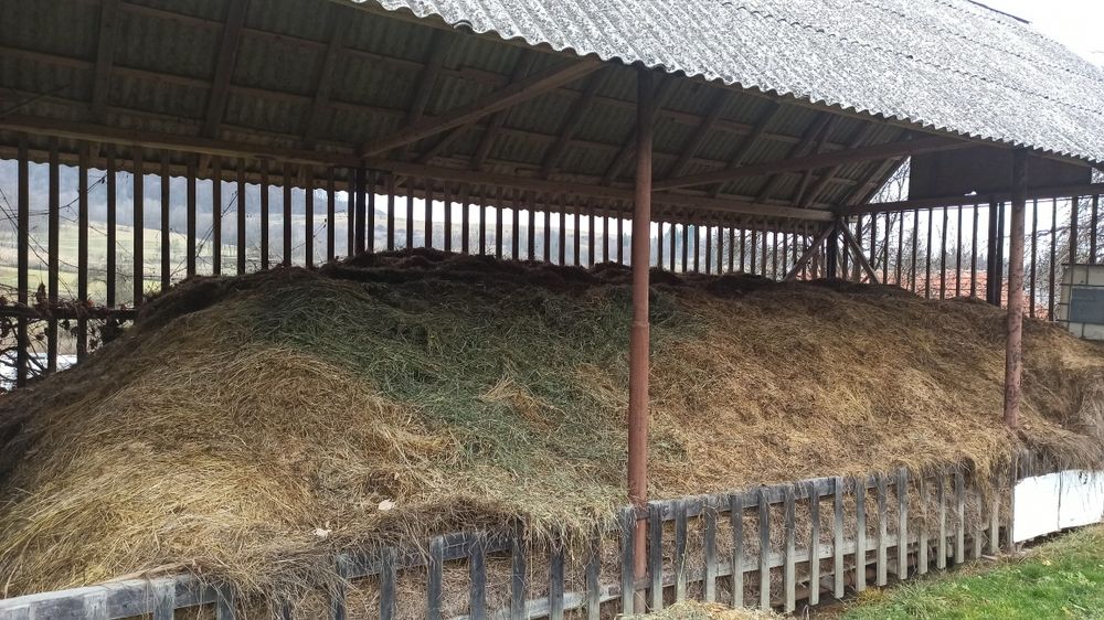 Fân și otavă din grădina casei!