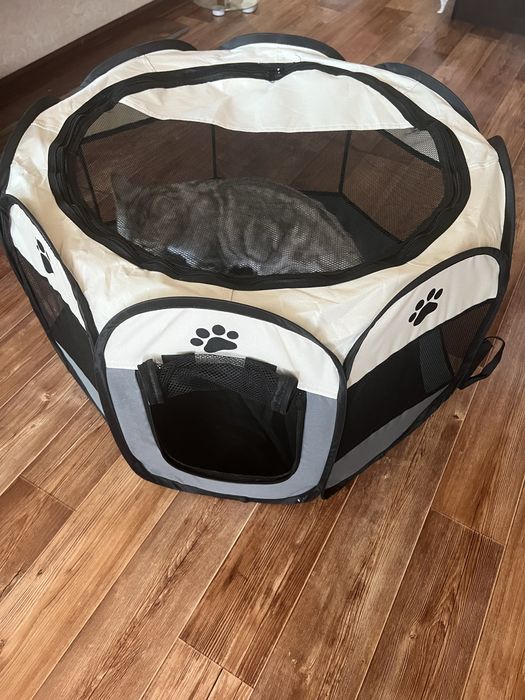 Продам манеж для котят