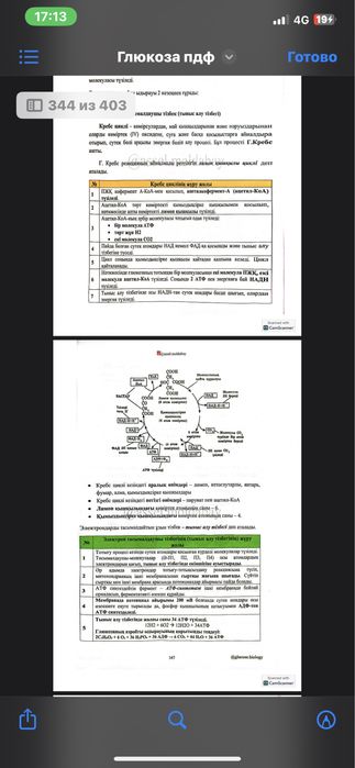 Глюкоза кітап пдф