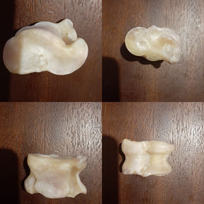 Асык сатамын продам асыки