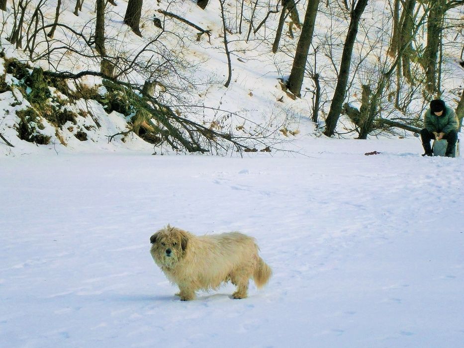 Фотоапарат - Винтидж Снимки - Olympus 14 мегапиксела КАТО НОВ!