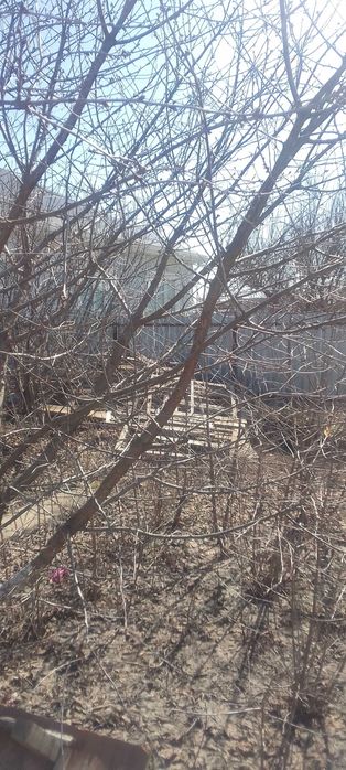 Дрова на баню Газель 15000