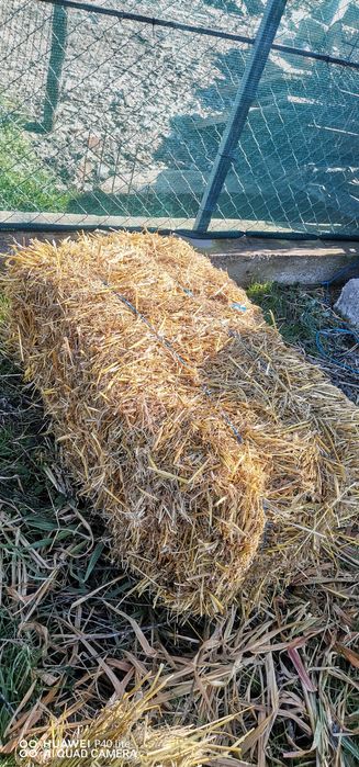 Baloti paie de ovăz