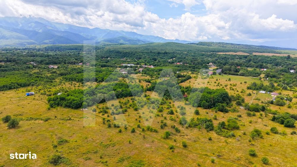 Teren extravilan de vanzare - Valea Avrigului, Sibiu