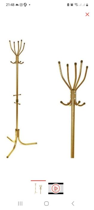 Продам кактус  бронзового цвета