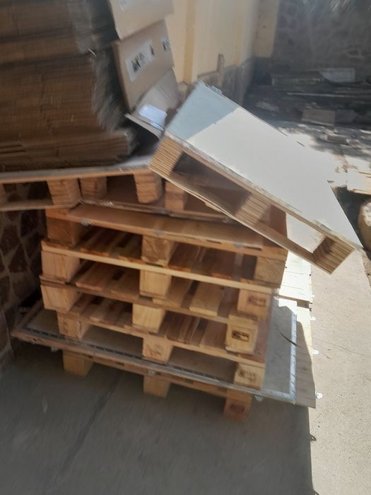 Paddon bor yangi narxi 50 000 dan