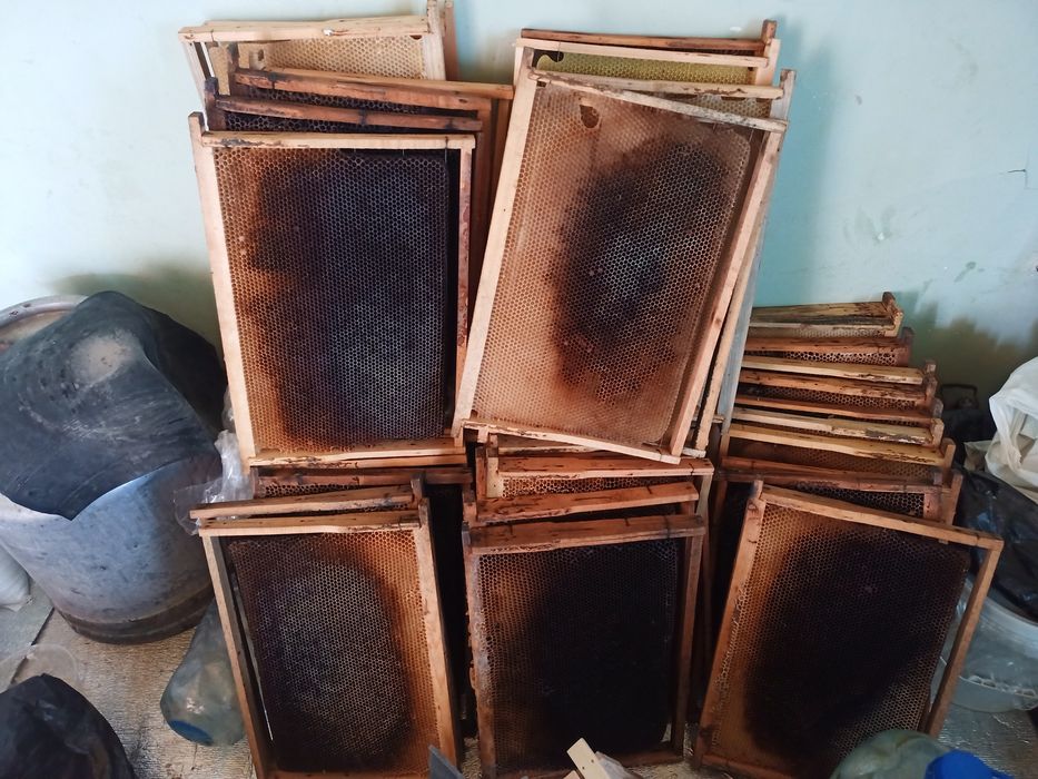 Sush ramka sotiladi. Асалари суш рамкалари сотилади