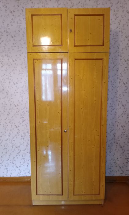 Шкаф плательный двудверный