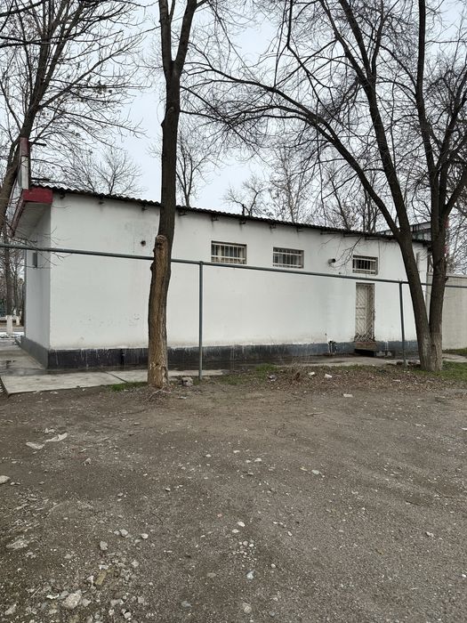 Guliston markazida bino sotiladi