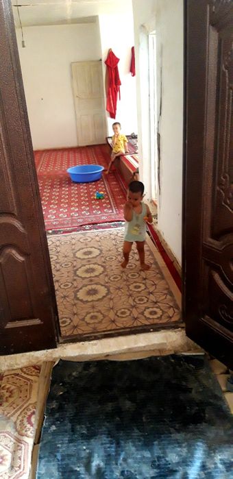 Qos kol 1 de jay satiladi