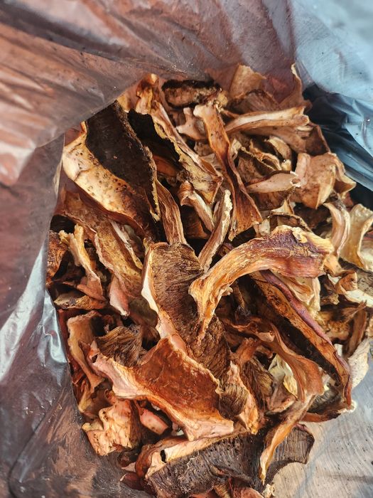 Hribi uscați de vanzare