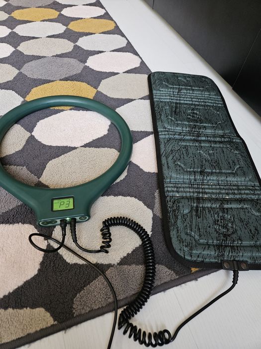 Lampa biotorus lt 100+lt 99 dureri articulatii