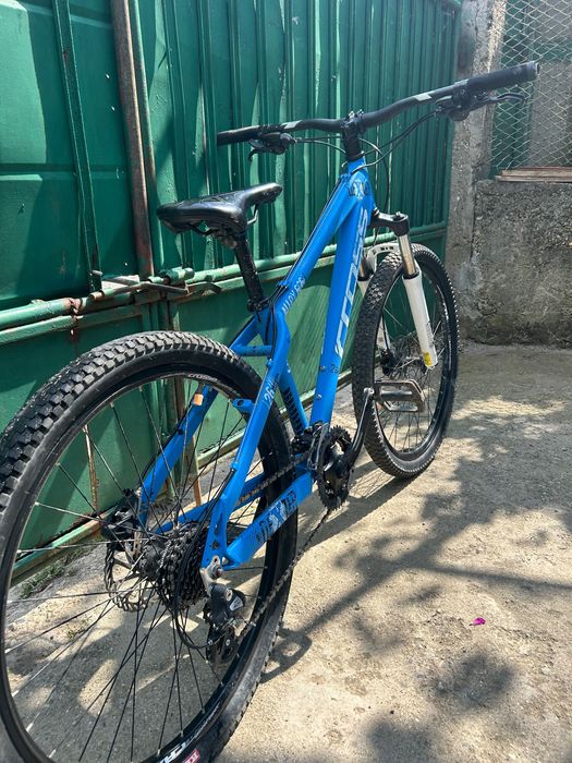 Kolelo Cross Dexter