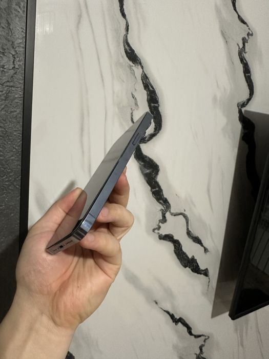 Apple 13 про макс